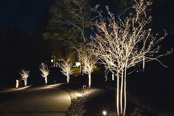 Outdoor Lighting Greenville SC 6