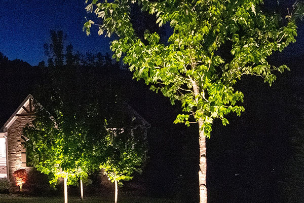 Outdoor Lighting Service Company Near Me in Columbia SC 12