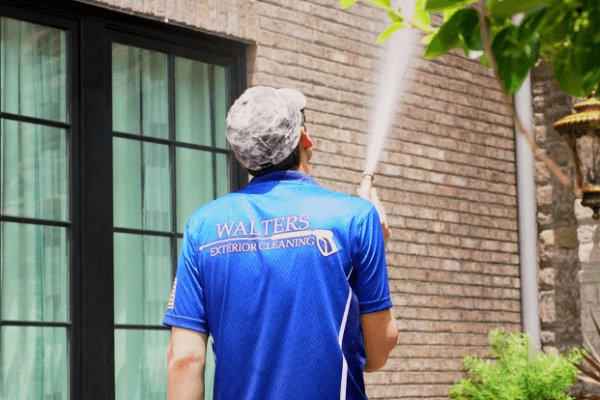 Outdoor Exterior Cleaning and Outdoor Lighting Service Company Near Me in Columbia SC 3