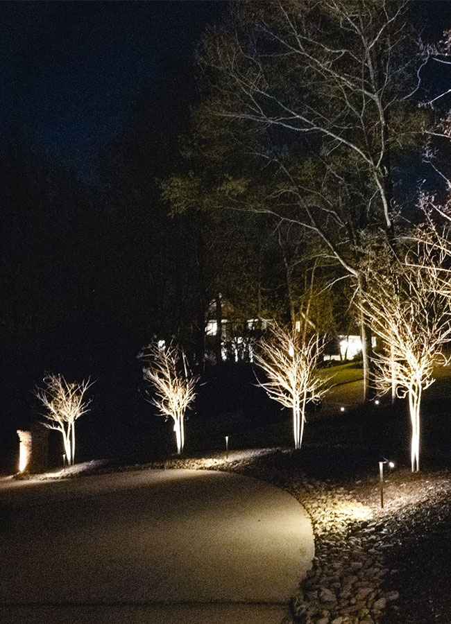 Outdoor Lighting Service Company Near Me in Columbia SC 1